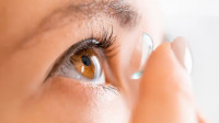 Contact Lenses